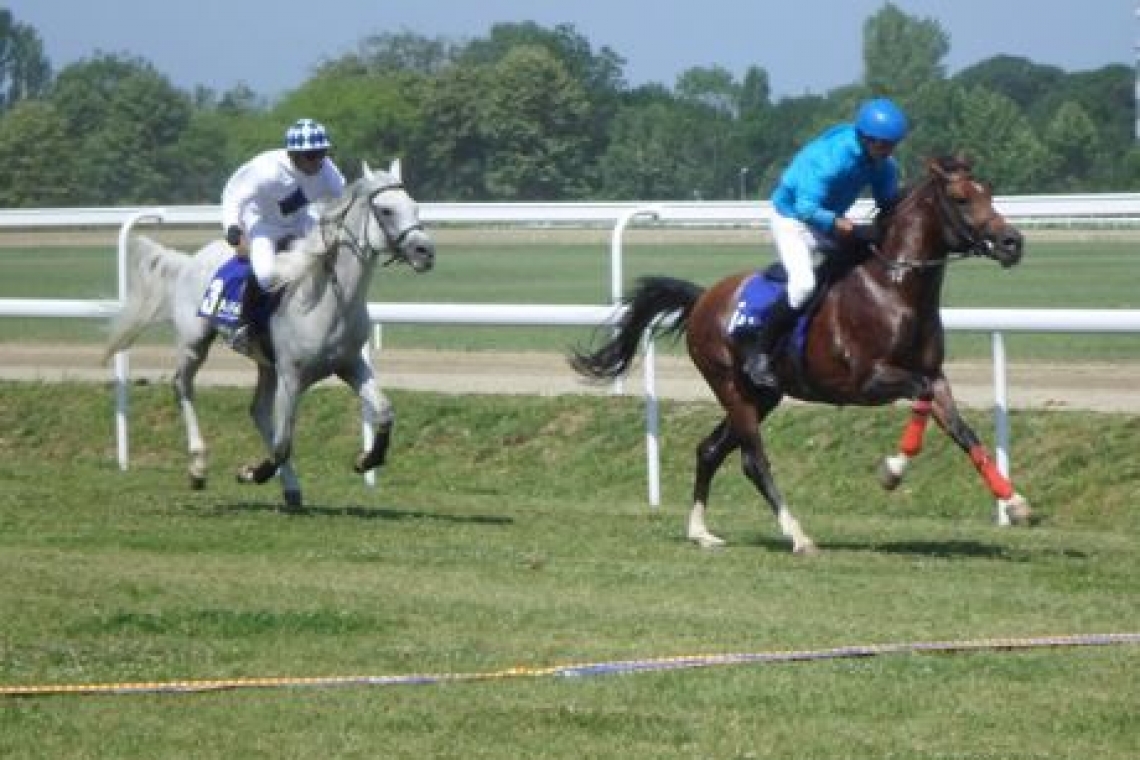 Premiera pentru Hipodromul Ploiesti! Se va intampla in acest sezon competitional!