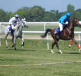 Premiera pentru Hipodromul Ploiesti! Se va intampla in acest sezon competitional!