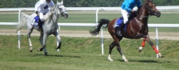 Premiera pentru Hipodromul Ploiesti! Se va intampla in acest sezon competitional!