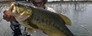 Romania reprezentata la Jocurile Olimpice dedicate pescuitului sportiv de la Johannesburg