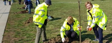 1500 de pomi au fost plantați astăzi în Parcul Municipal Vest