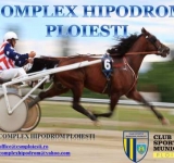 E cazul să mergi sâmbătă dimineață la Hipodrom! Se anunță un debut de sezon competițional foarte interesant!