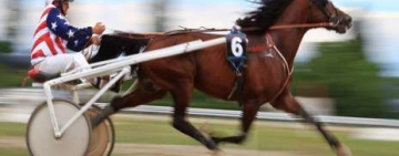 E cazul să mergi sâmbătă dimineață la Hipodrom! Se anunță un debut de sezon competițional foarte interesant!