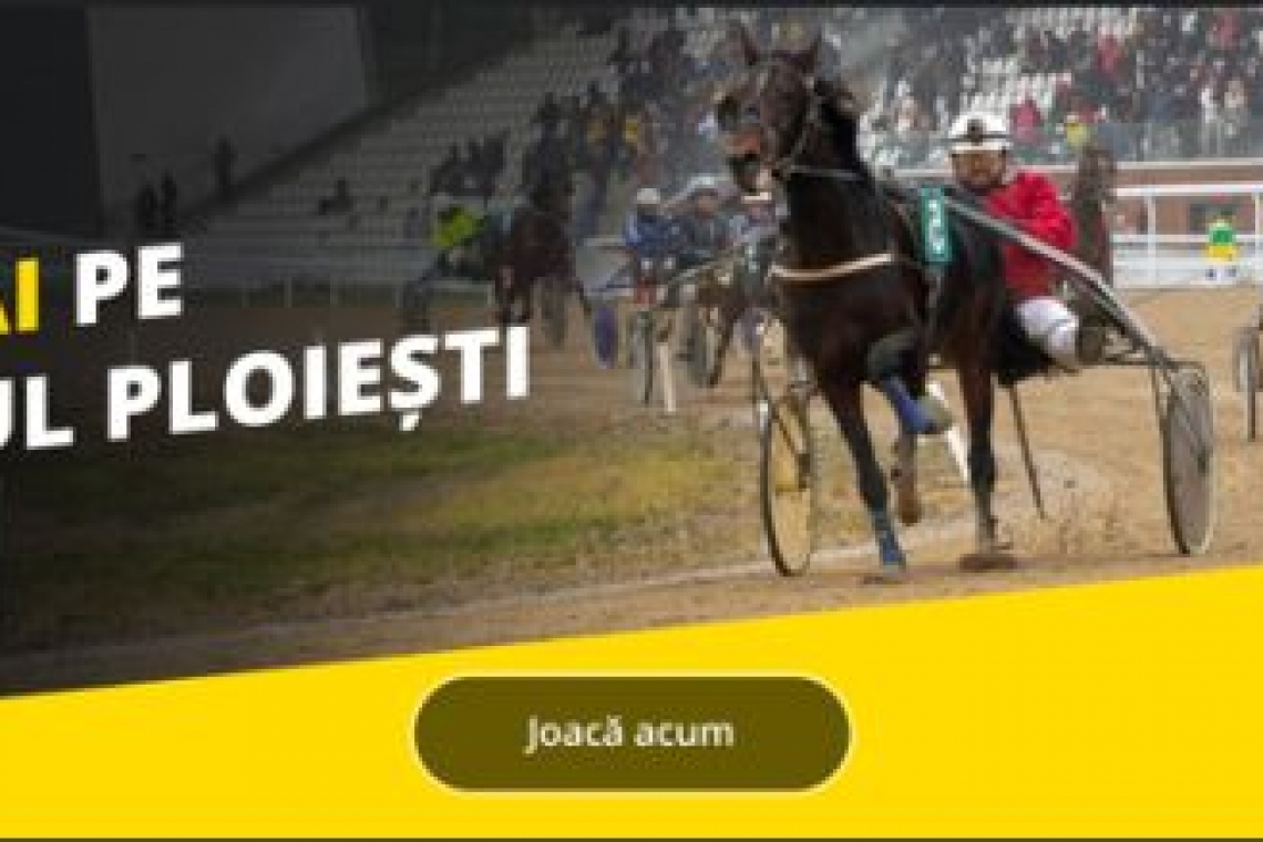 Citește asta înainte! Cum pariezi la cursele de mâine de pe Hipodromul Ploiești