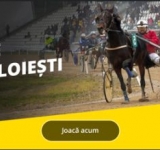 Citește asta înainte! Cum pariezi la cursele de mâine de pe Hipodromul Ploiești