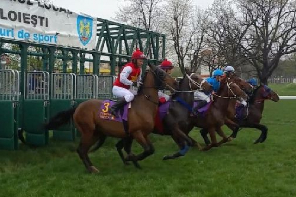 O nouă premieră pe Hipodromul Ploiești