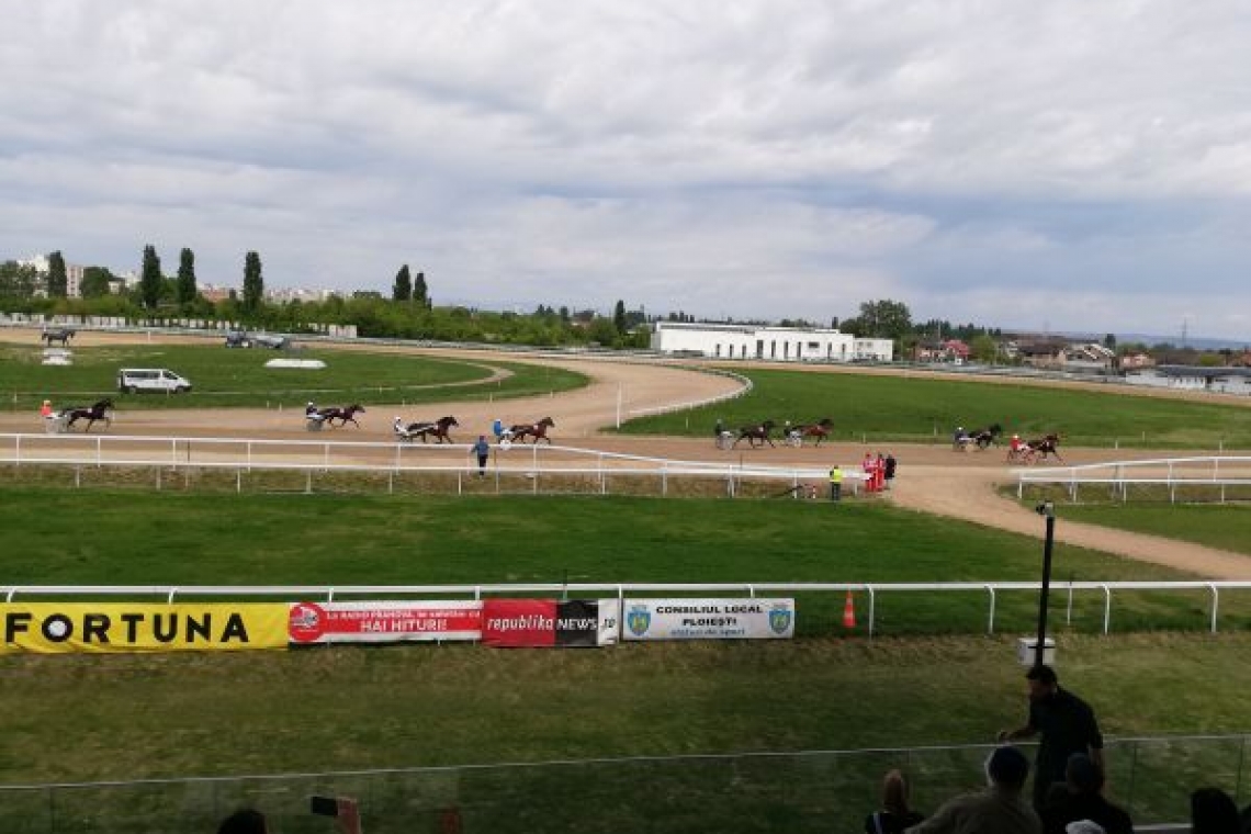 Curse de trap și galop, sâmbătă, de la zece jumate, pe Hipodromul din Ploiești