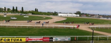 Curse de trap și galop, sâmbătă, de la zece jumate, pe Hipodromul din Ploiești