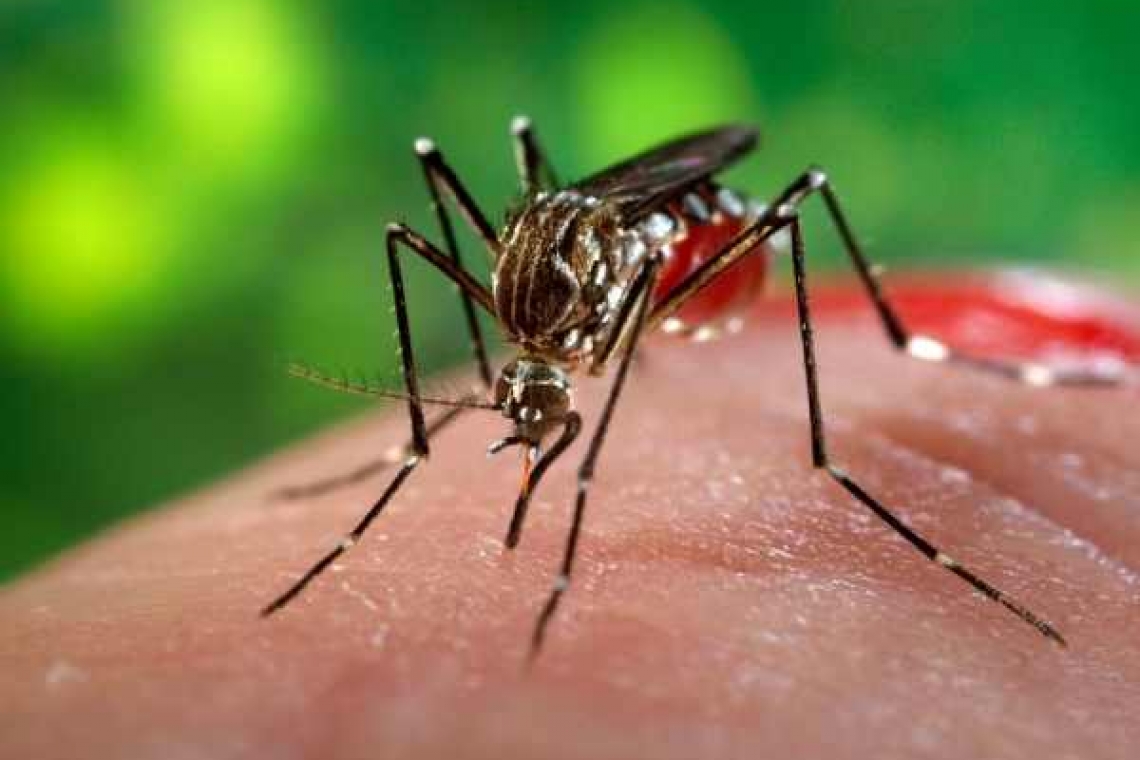 Dacă mergi la mare în Grecia te mănâncă țânțarii! La fel și la Ploiești...