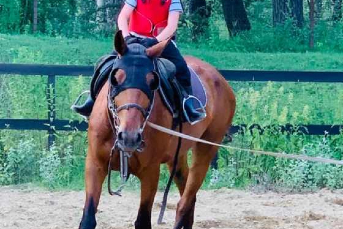 O altfel de oază de relaxare la numai 30 de kilometri de Ploiești