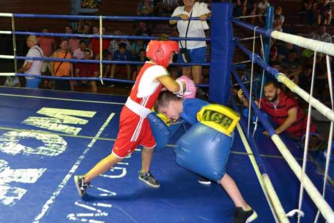 Ploieștiul ar putea avea o Academie de Box