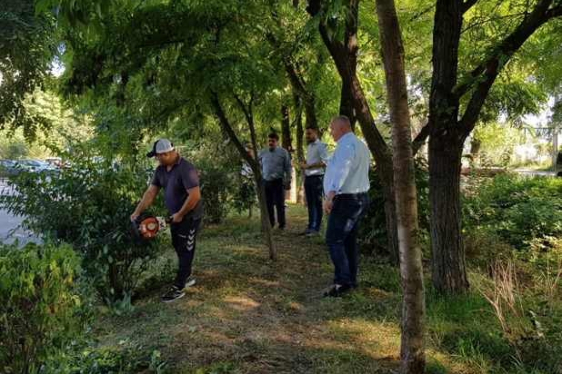 Continuă acțiunile de igienizare și salubrizare a spațiilor verzi din zona Pârâului Dâmbu