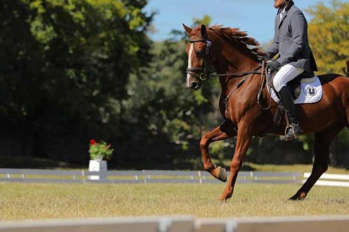 Luiza Zan și Ploiești Jazz Trio vor concerta la Karpathia Horse Show 2019