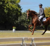 Luiza Zan și Ploiești Jazz Trio vor concerta la Karpathia Horse Show 2019