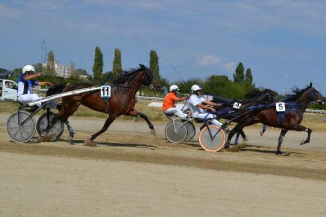 Mergi sâmbătă dimineață la Hipodrom! Vor fi șase curse de trap interesante