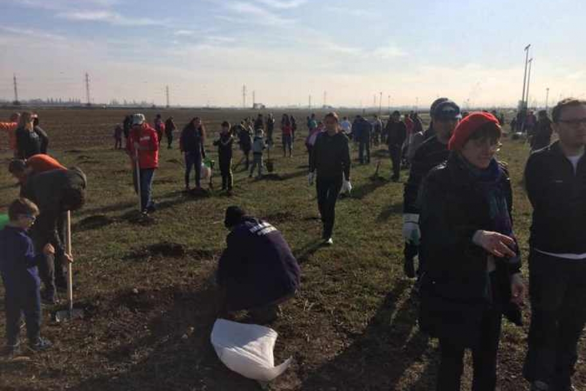 S-au plantat copaci, astăzi, în Parcul Municipal Vest