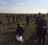 S-au plantat copaci, astăzi, în Parcul Municipal Vest