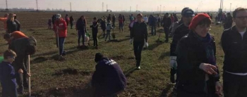 S-au plantat copaci, astăzi, în Parcul Municipal Vest