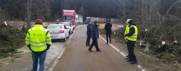 Dezastru pe DN 1A la ieșire din Cheia! Drumul este blocat de copacii căzuți