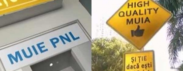 Concurență serioasă pentru plăcuța suedeză