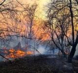 Dacă scăpăm de coronavirus ne omoară radiațiile! Pădurile din Cernobîl ard de nouă zile!