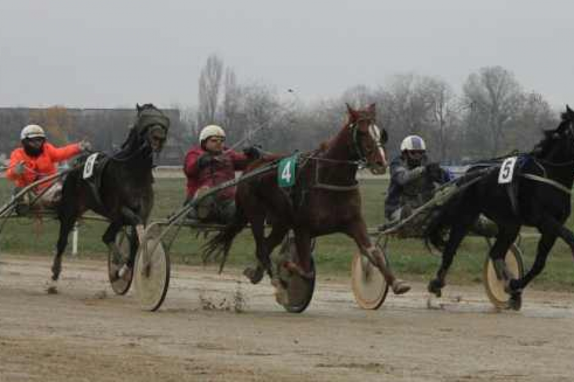 Programul reuniunii de trap de duminică de pe Hipodromul Ploiești