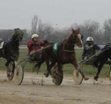 Programul reuniunii de trap de duminică de pe Hipodromul Ploiești