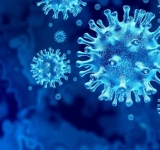 Titluri care să te facă să vrei înapoi în arest la domiciliu