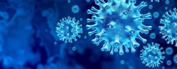 Titluri care să te facă să vrei înapoi în arest la domiciliu