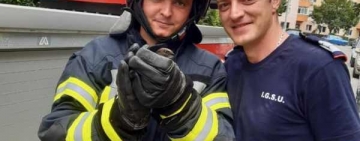 Pompierii prahoveni au salvat de la moarte o rândunică rămasă captivă în plasa unui bloc din Ploiești