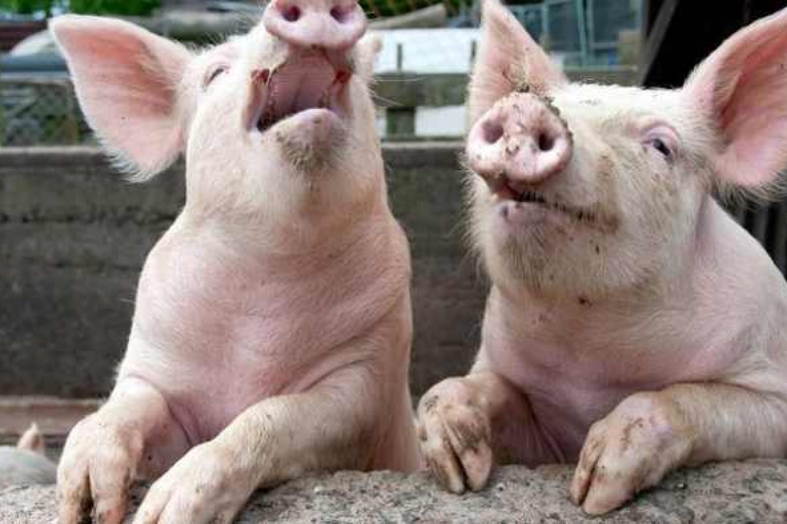 Va fi din ce în ce mai rău! Ar putea veni o altă pandemie! Și tot din China