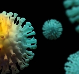 Situația reală a infectărilor cu Covid 19 în Prahova după acest weekend