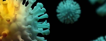 Situația reală a infectărilor cu Covid 19 în Prahova după acest weekend