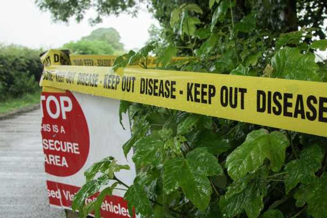 Se pune de o nouă epidemie? Focar de gripă aviară lângă Melbourne