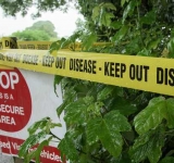 Se pune de o nouă epidemie? Focar de gripă aviară lângă Melbourne