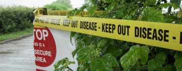 Se pune de o nouă epidemie? Focar de gripă aviară lângă Melbourne