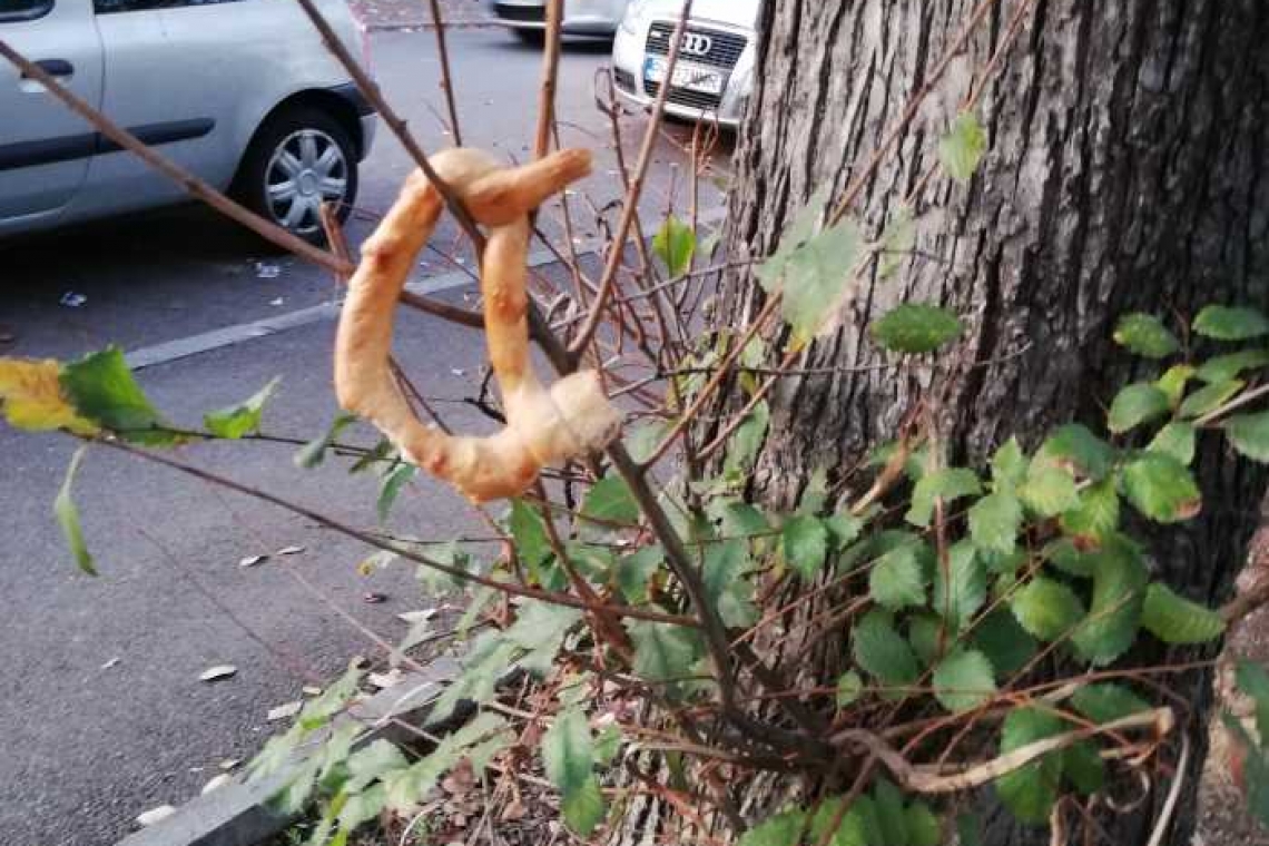 La Ploiești covrigii nu sunt purtați de câini în coadă. Ei spânzură de ramurile copacilor