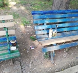 Polițiștii locali patrulează degeaba dacă nu-i ”rad” pe barbari