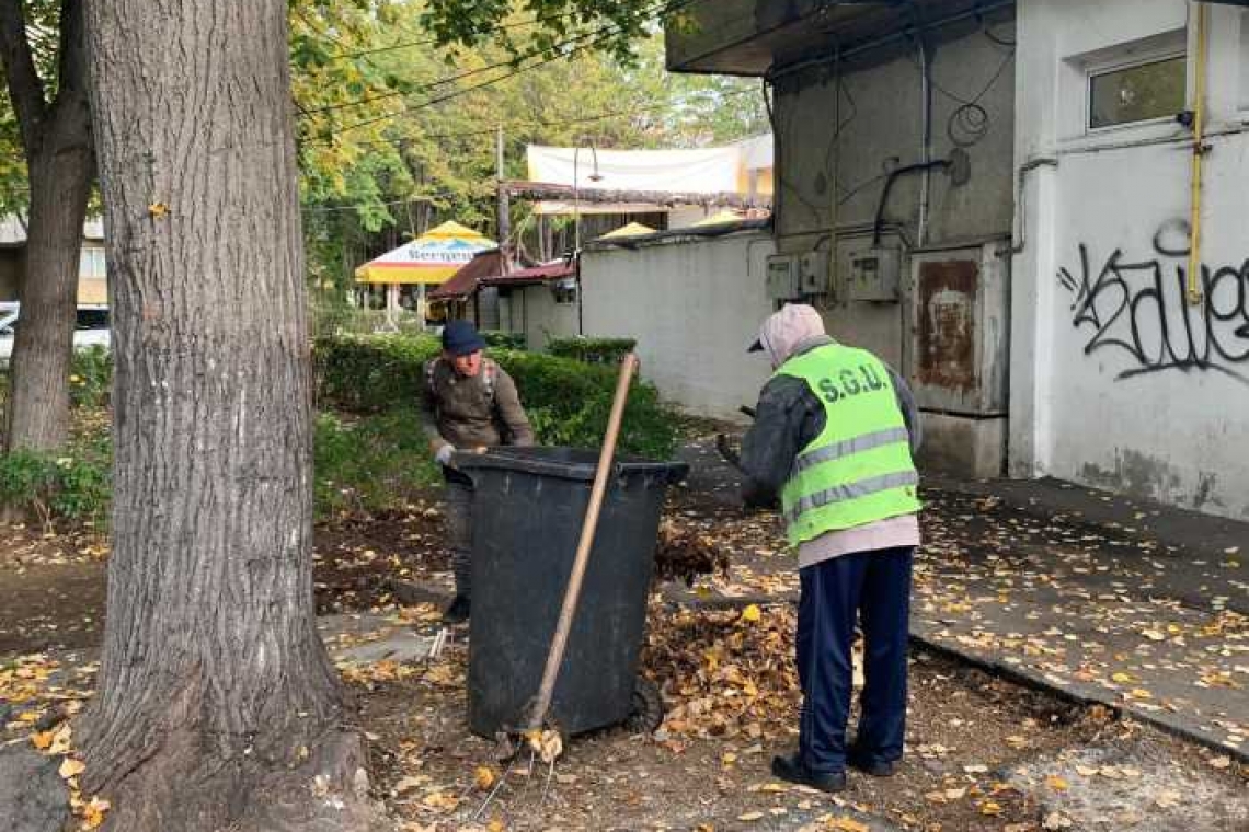 Începe curățenia generală și în curțile școlilor din Ploiești!