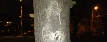 Cum și-au bătut joc tinerii frumoși și liberi de castanii de pe Bulevardul Independenței?