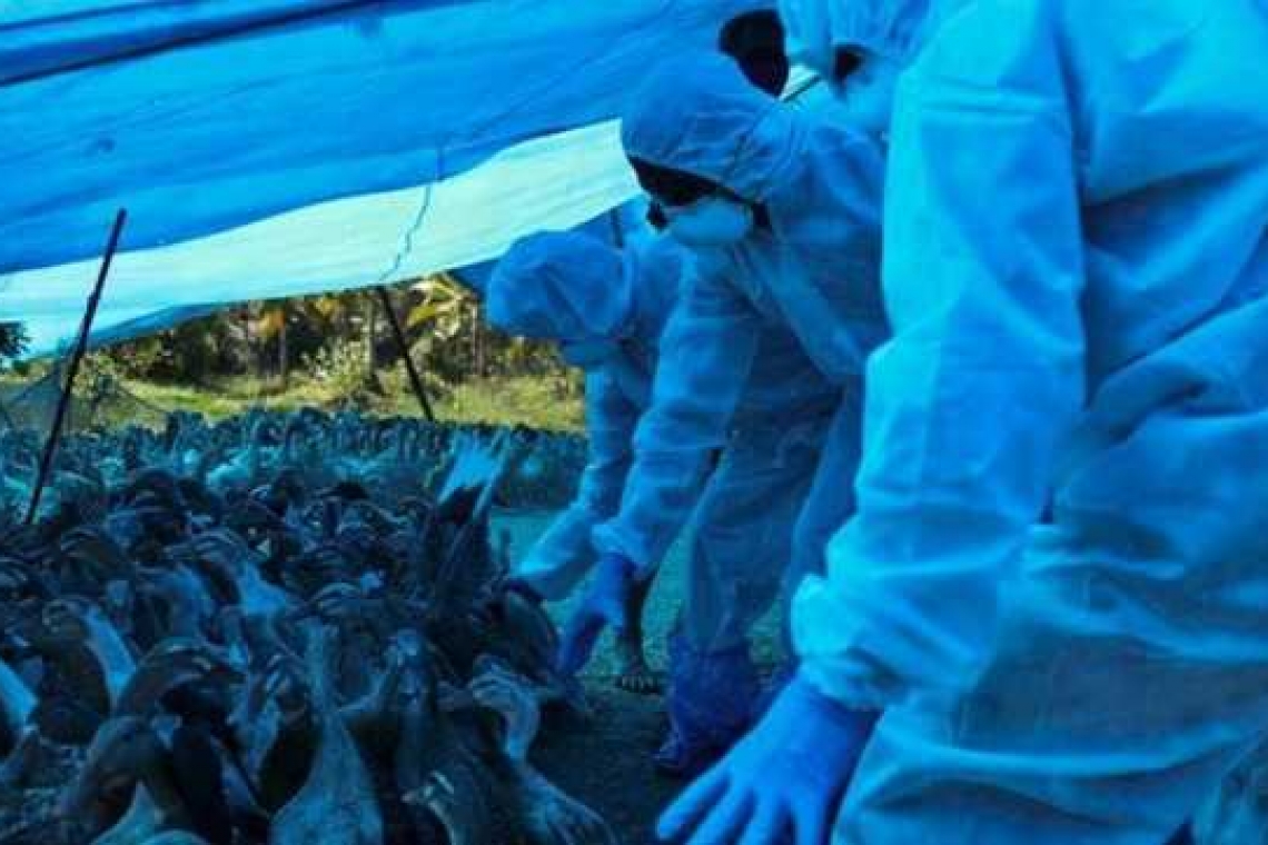 Primul caz de transmitere al gripei aviare H5N8 la om, descoperit în Rusia. OMS a fost anunțată