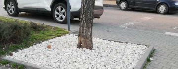 Castanii de pe Bulevardul Independenței au o ”bază” nouă