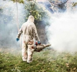 Dacă salubritatea se împiedică, dezinsecția și deratizarea merg la Ploiești