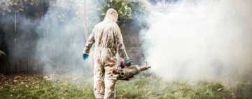 Dacă salubritatea se împiedică, dezinsecția și deratizarea merg la Ploiești