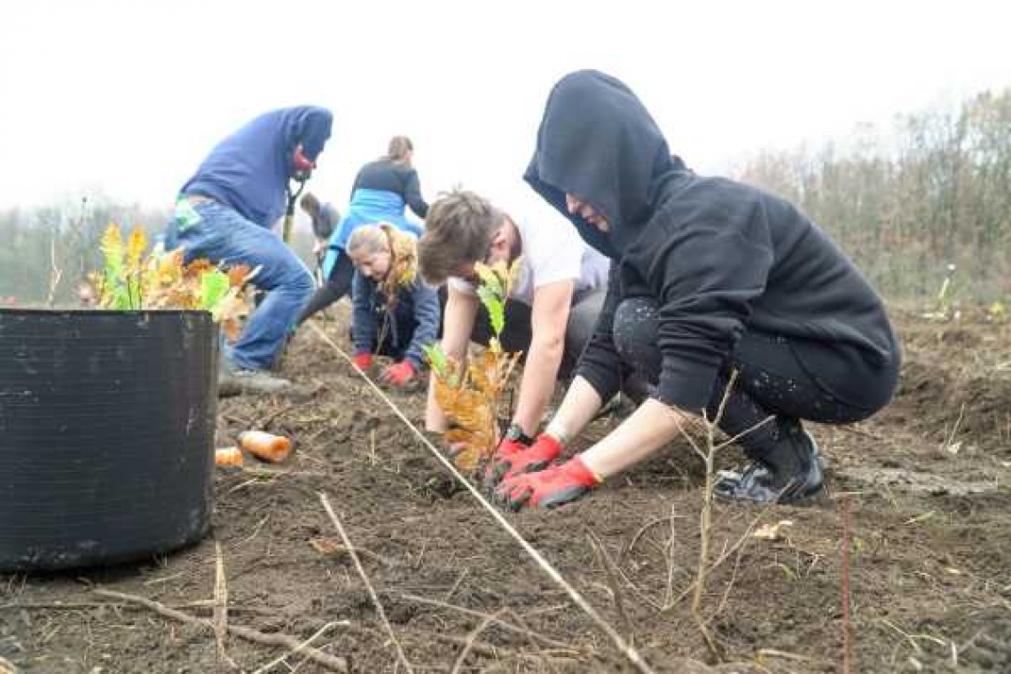 Asociația Principele Nicolae al României continuă campania de plantare 