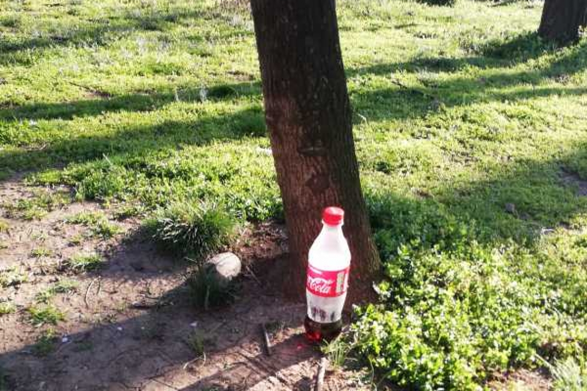 Cu localurile închise din motive de pandemie, ploieștenii au transformat Bulevardul Independenței în loc de picnic