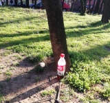 Cu localurile închise din motive de pandemie, ploieștenii au transformat Bulevardul Independenței în loc de picnic