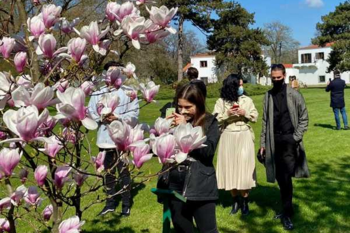 Proiect privind amenajarea grădinii Palatului Elisabeta
