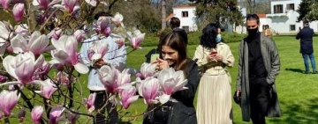 Proiect privind amenajarea grădinii Palatului Elisabeta