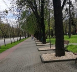 Salariații Rosal sunt în grevă! Artiștii Teatrului și Filarmonicii, precum și alți angajați ai Primăriei Ploiești vor face curat pe străzi și în parcuri!